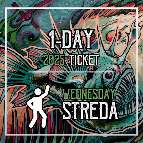 BASINFIRE 2025 1-day pass WEDNESDAY